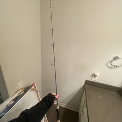 Fishing Rod, Brand New, Fenwick Eagle