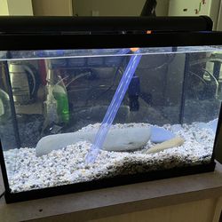 20 Gallon Aquarium Set Fish Tank
