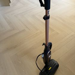 Scrubbing Steam Mop