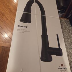 New Pfister Classic Kitchen Faucet   $100