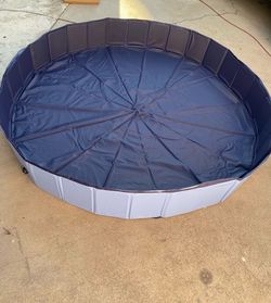 Dog pool
