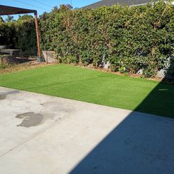 Turf