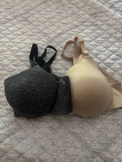 Lane Bryant Bra (2)  size 40C