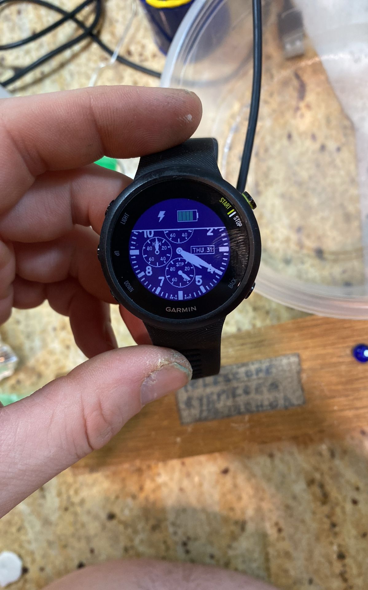Garmin Forerunner 45