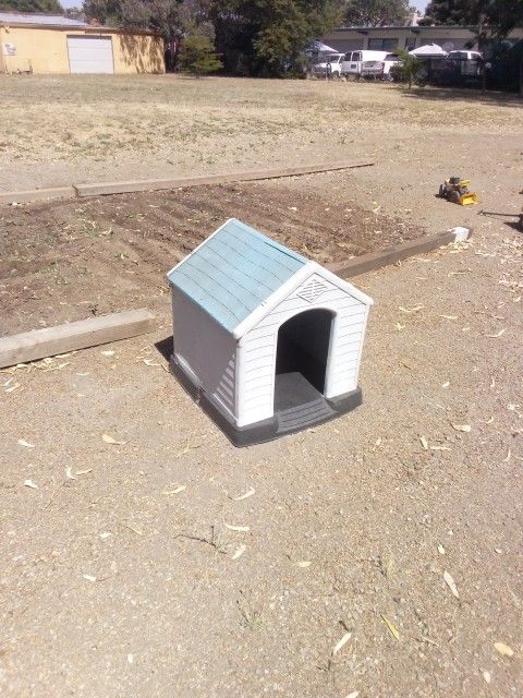 Dog House
