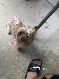 Have You Seen ME Missing In Dinuba Last Seen On N Villa Ave Reward ($500) For Her Return Please Help Her Get Back Home