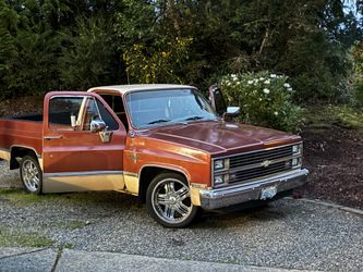 Chevy Silverado square body c10 long bed