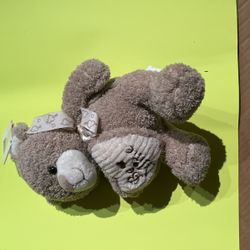 Valentine’s Grey Be Mine Teddy Bear