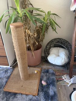 Purrfect Post Cat scratcher and Adorable Kitty Daybed Sold Separately Or Together