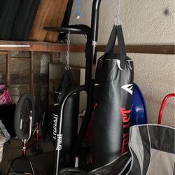 Everlast Punching Bag