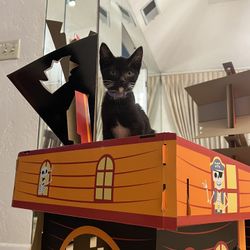 Brand New. Cat Scratcher. Halloween Themed Pirate Ship. Sealed In Box