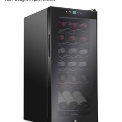 Wine Fridge 