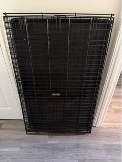 Large Dog Crate