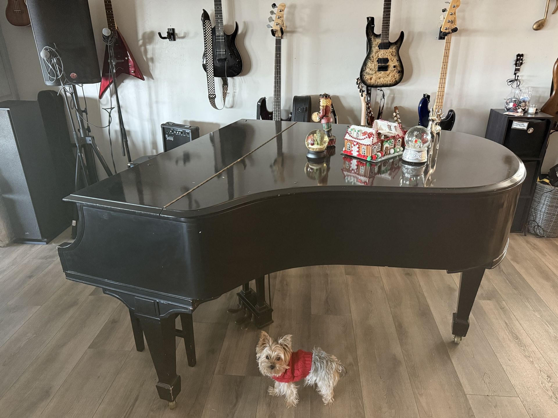 Free Haddorff Baby Grand Piano