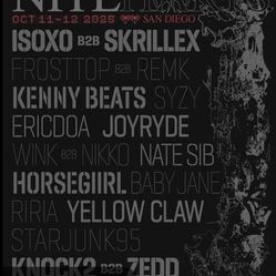Niteharts 2 day wristband 