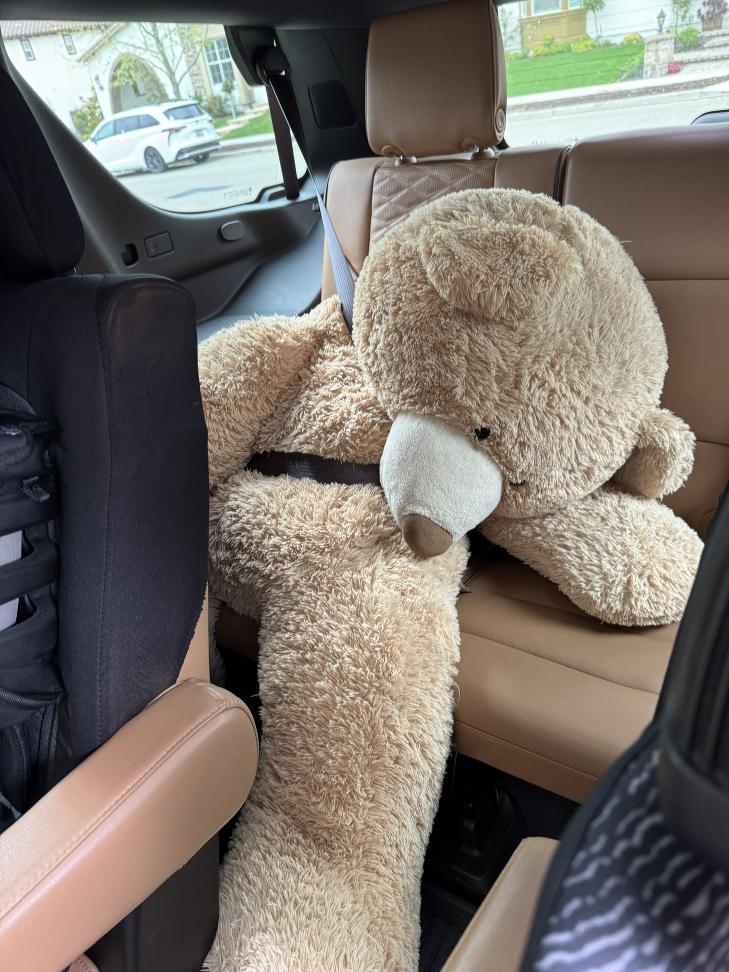 Big Teddy Bear