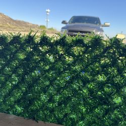 Artificial Grass Privacy Fence, Contractor Price