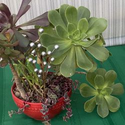 Something That Will Give You Luck!