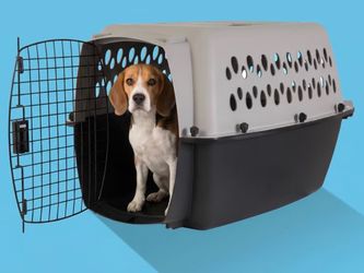 Pet Carrier