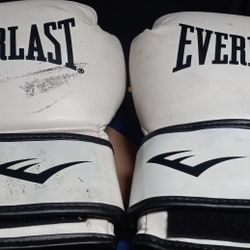 Everlast Core 2 Training Gloves (Size S/M)