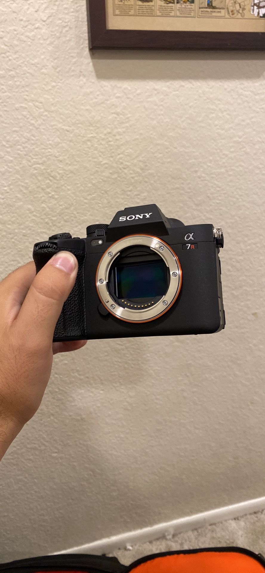 Sony A7rv