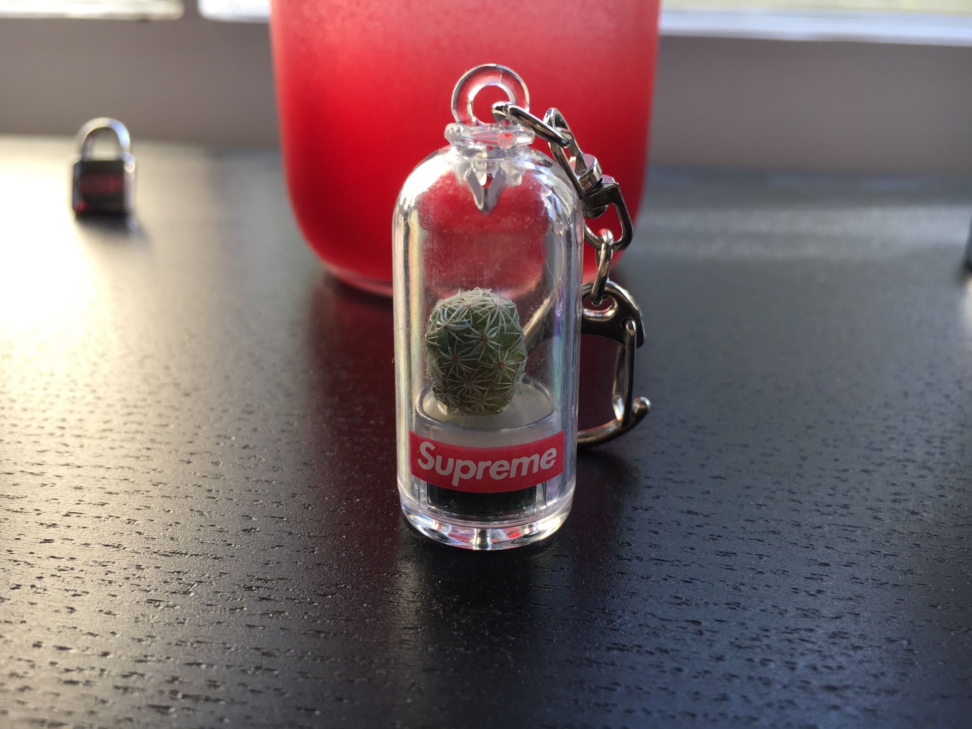 Supreme hotsell cactus keychain