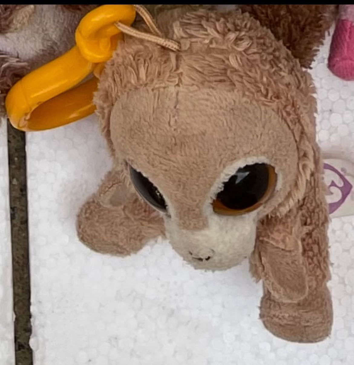 Tangerine The Monkey Beanie Boo