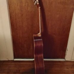 Lucerno Nylon Acoustic