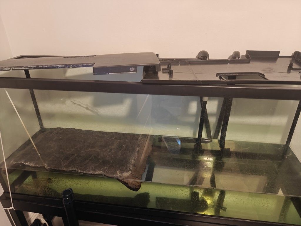 Fish Tank