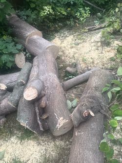 Free fire wood located in Hampton va