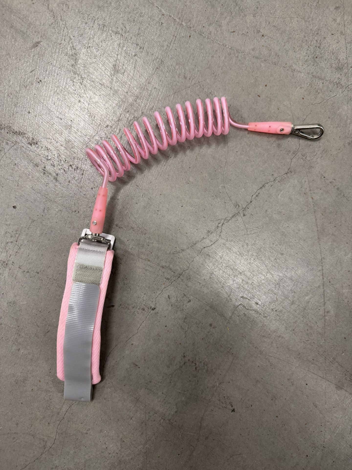 Dog Leash