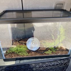 Zilla Premium Desert Starter Kit 10 Gallon for Sale in Lake Elsinore CA OfferUp