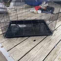 Have 5 Brand New Cages 