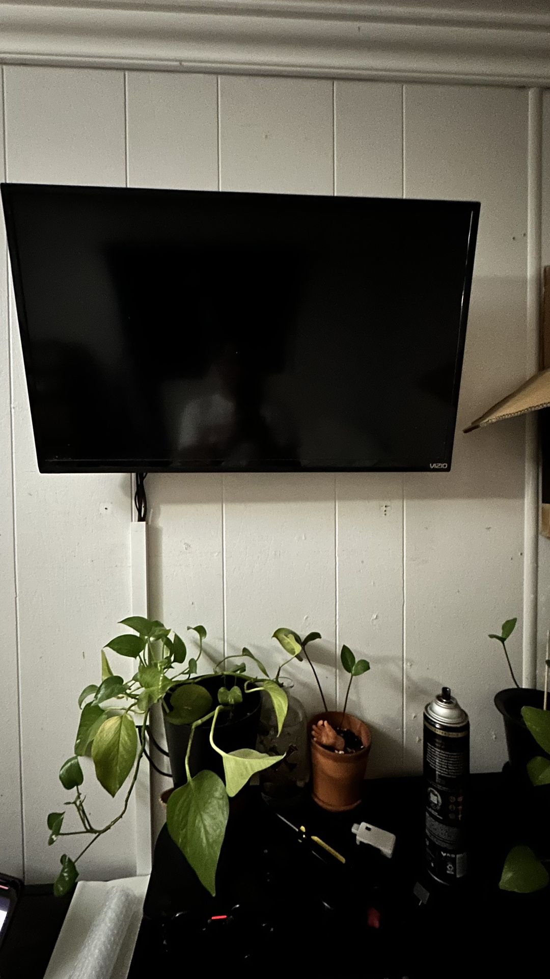 32’ Vizio for $25