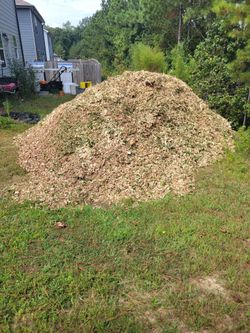 Compost Woodchips