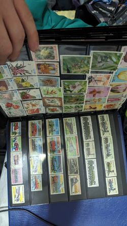 RARE Stamp Collection 