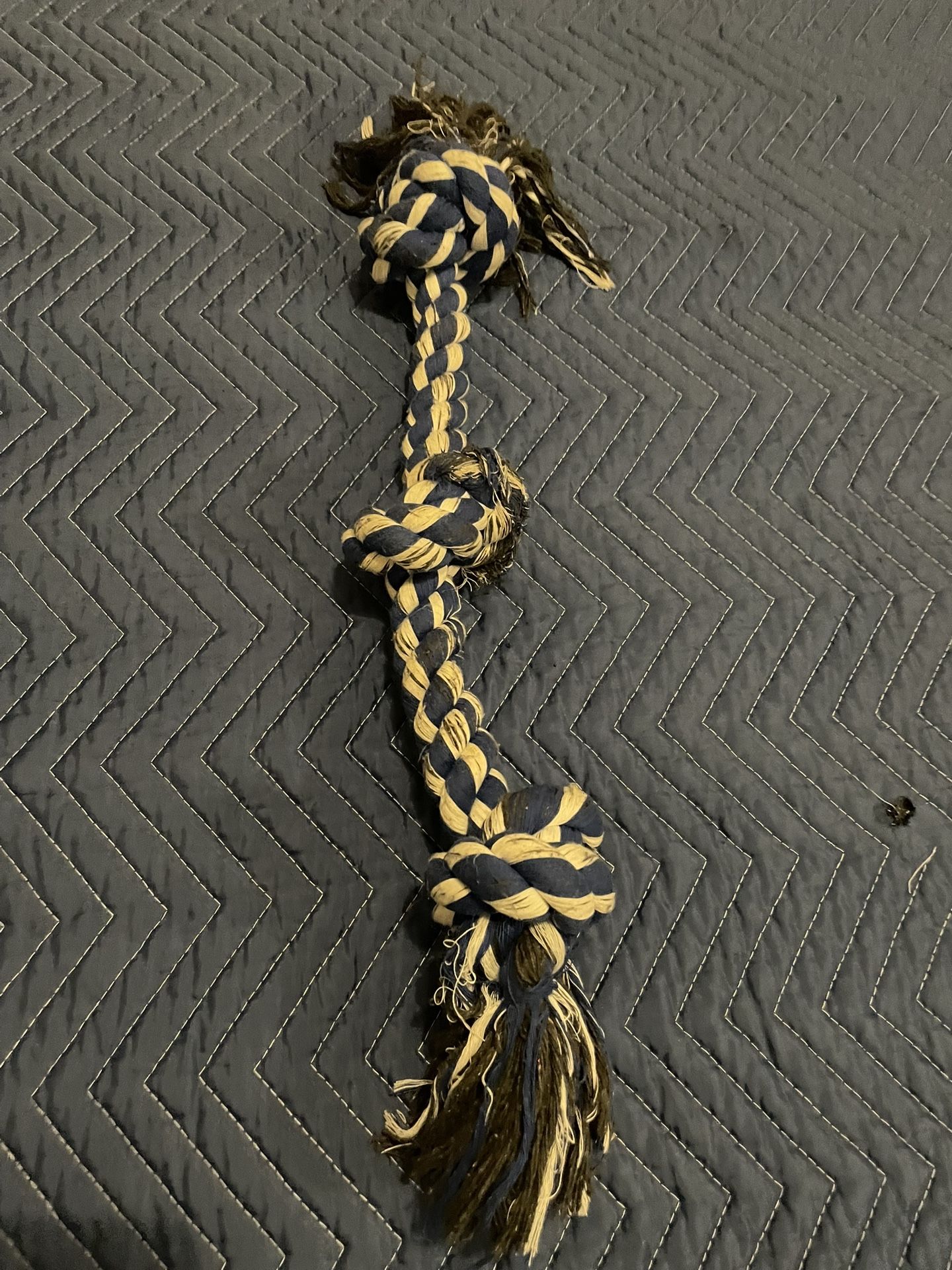 Dog Toys