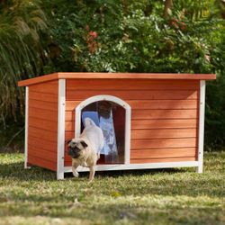 Dog House 