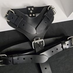 Dog Harness