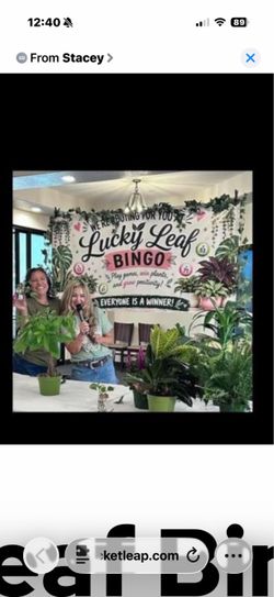 Luck Leaf Bingo