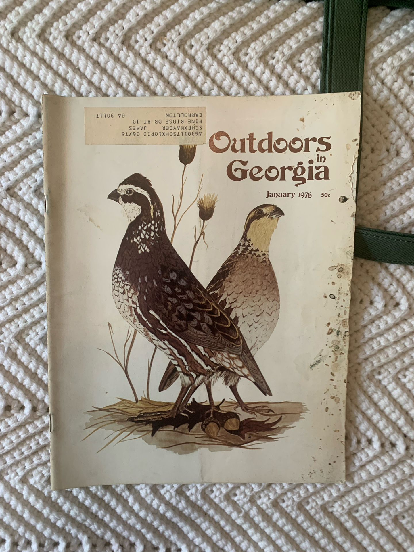 Outdoors In Georgia Magazines