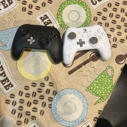 Nintendo Switch Controller