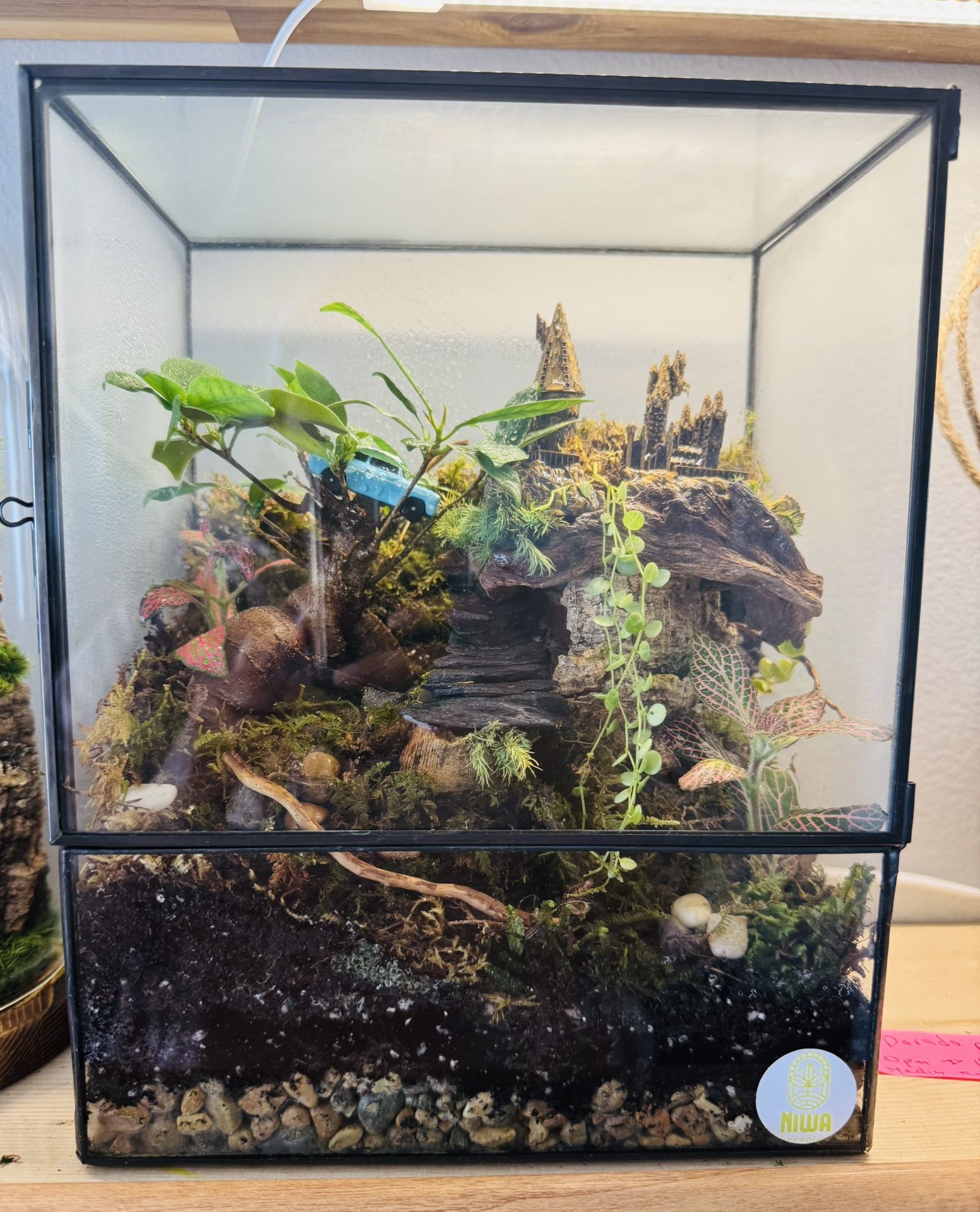 Harry Potter-Inspired Magical Terrarium โจ๐ฟ