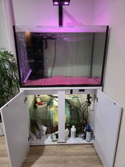 90 Gallon Tank and Stand
