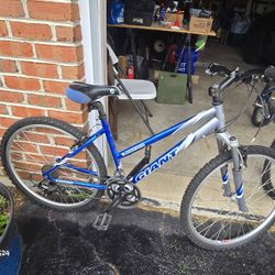 Boulder Adult Bicycle 