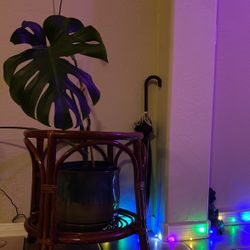 1970s Mid-Century Italian Modern Bamboo and Rattan Table 