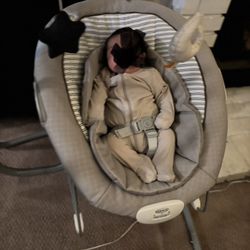 Graco Swing Bouncer 