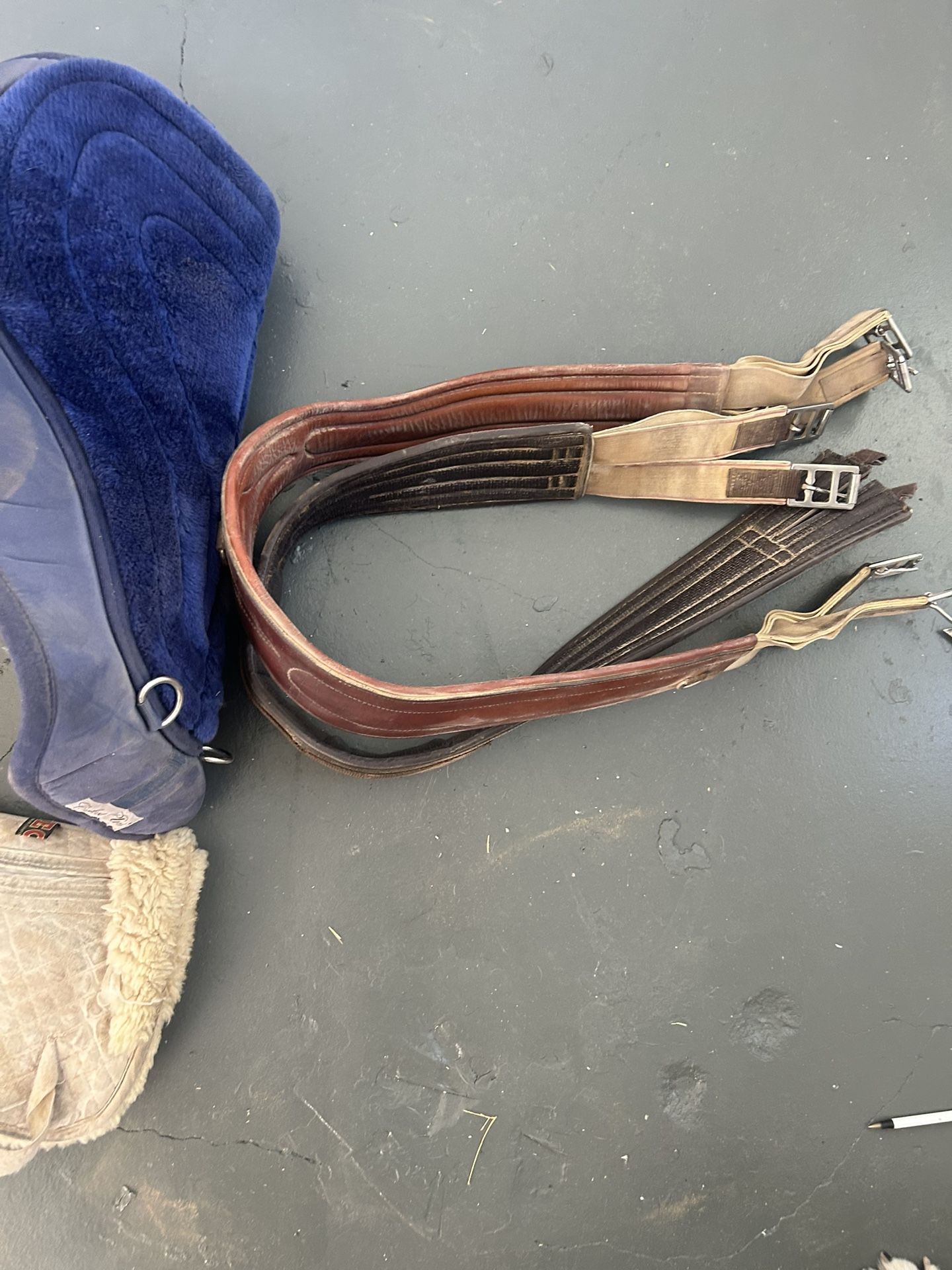 R Pessoa Jumping Saddle!!