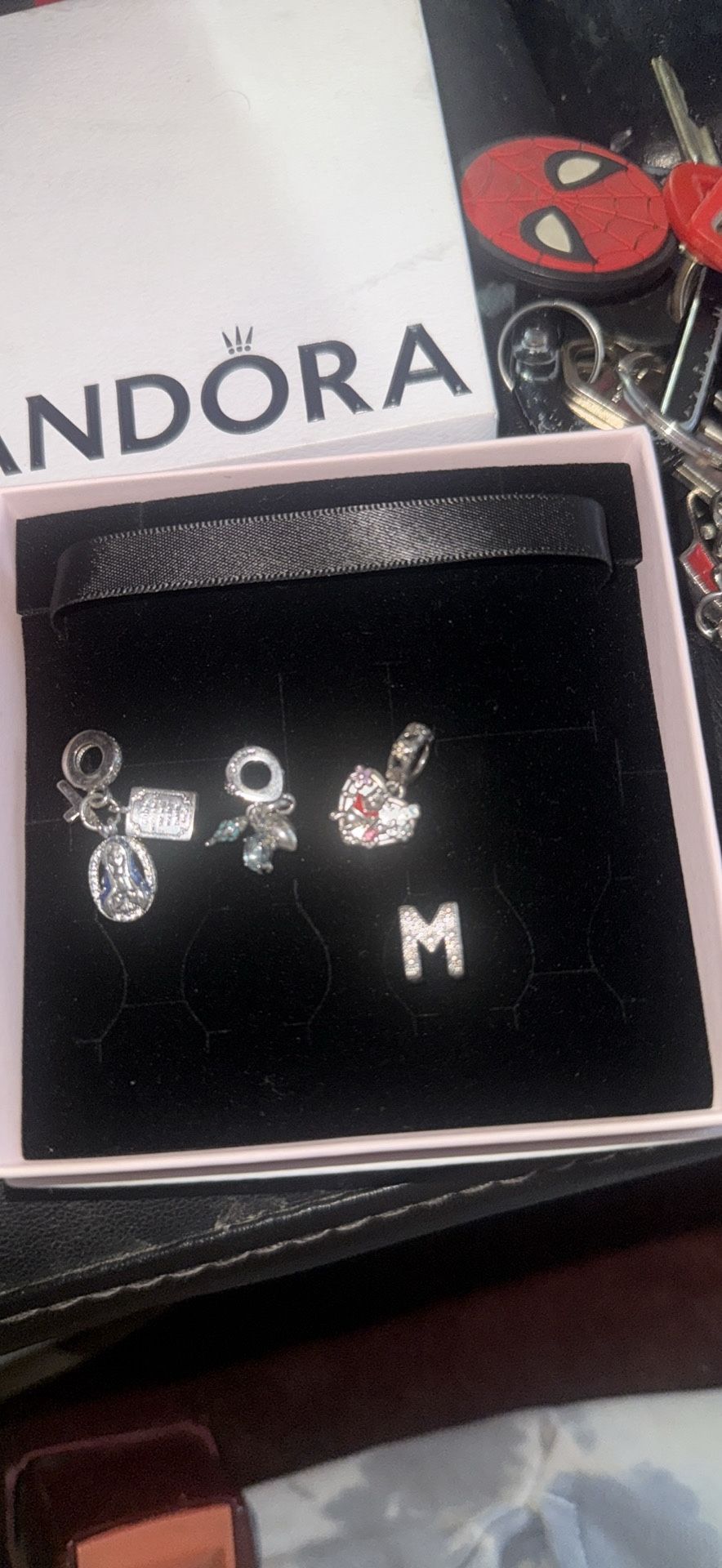 Pandora Charms