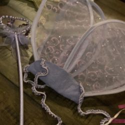 Angel wings with one purple